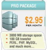 Pro Personal Web Hosting Package
